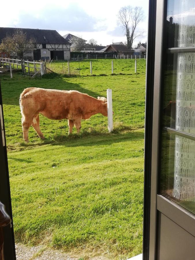 L'Opaline, Jolie Maison Avec Jardin 6 Pers,10Km Honfleur, Linge Et Internet Inclus Бёзвиль Экстерьер фото